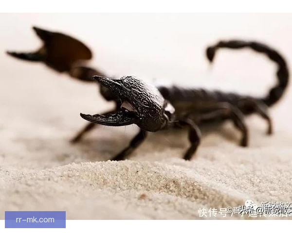 某组织核心蝎子摆尾破门，精彩瞬间点燃全场